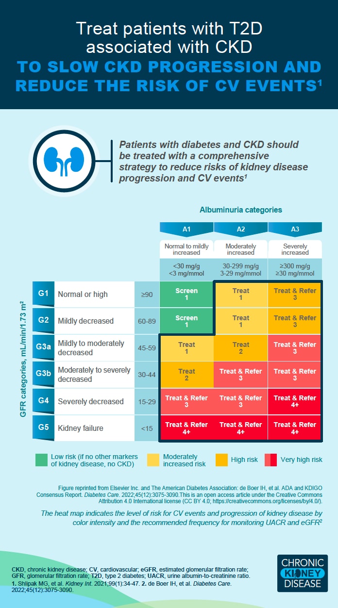 CKD Screening and Diagnosis Slide 7