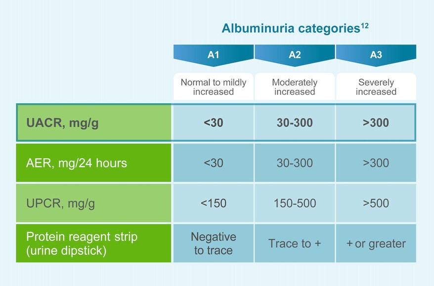 Risk of CV outcomes are higher in patients with T2D and albuminuria, regardless of eGFR level