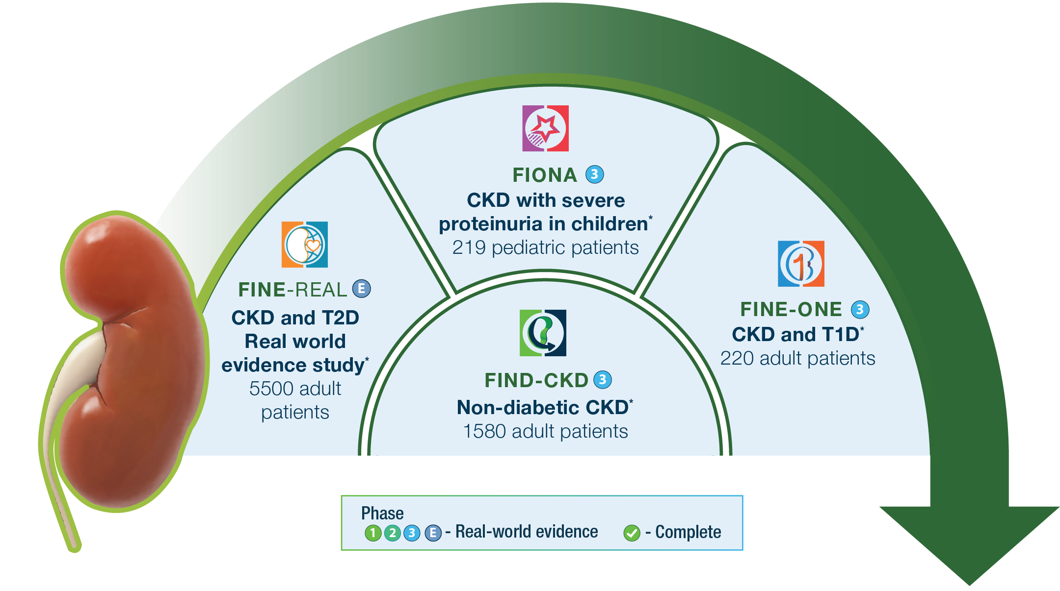 Finerenone Kidney