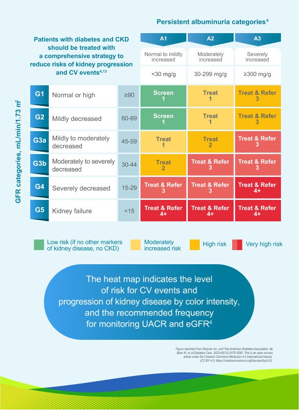 Persistent Albuminuria Categories