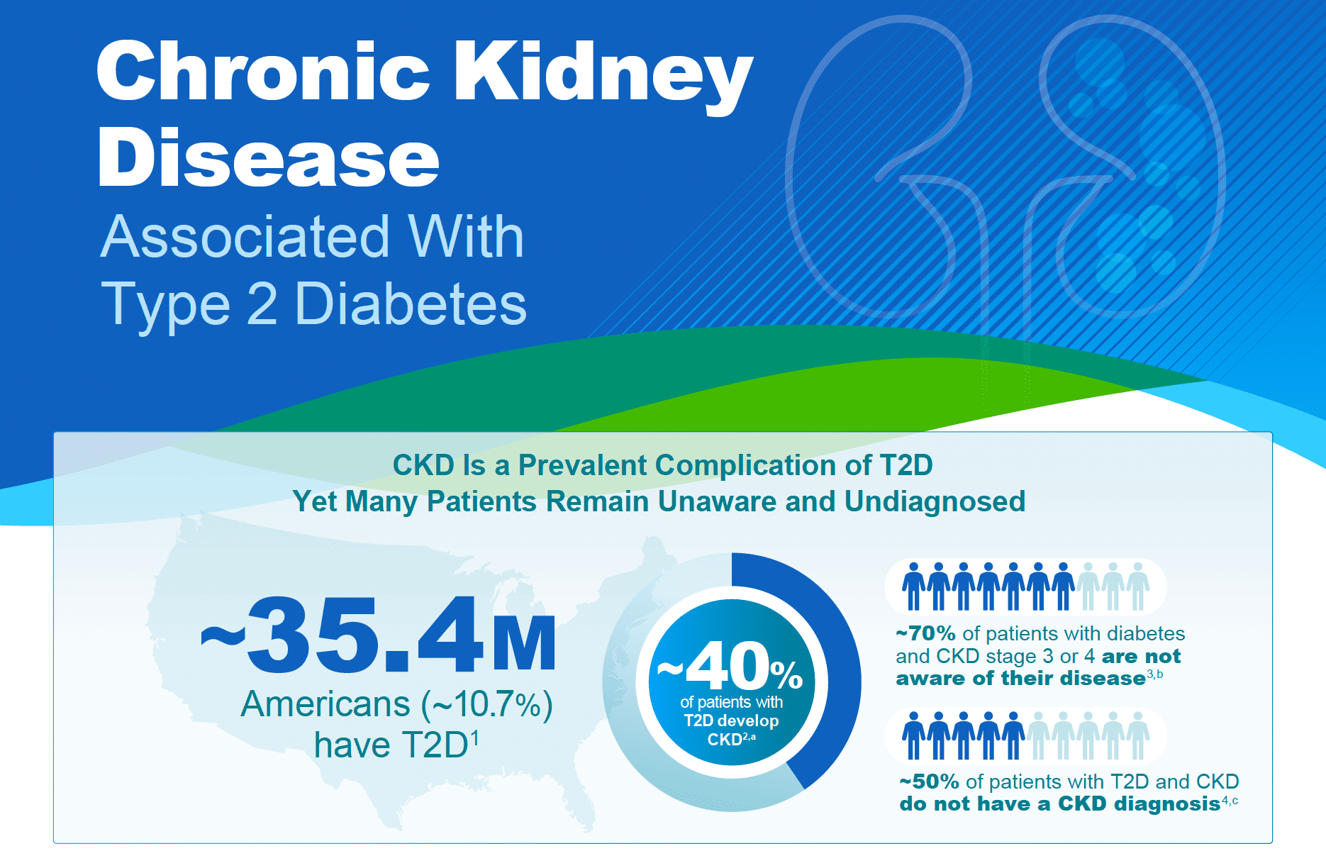 Chronic Kidney Disease Screening and Diagnosis Infographic