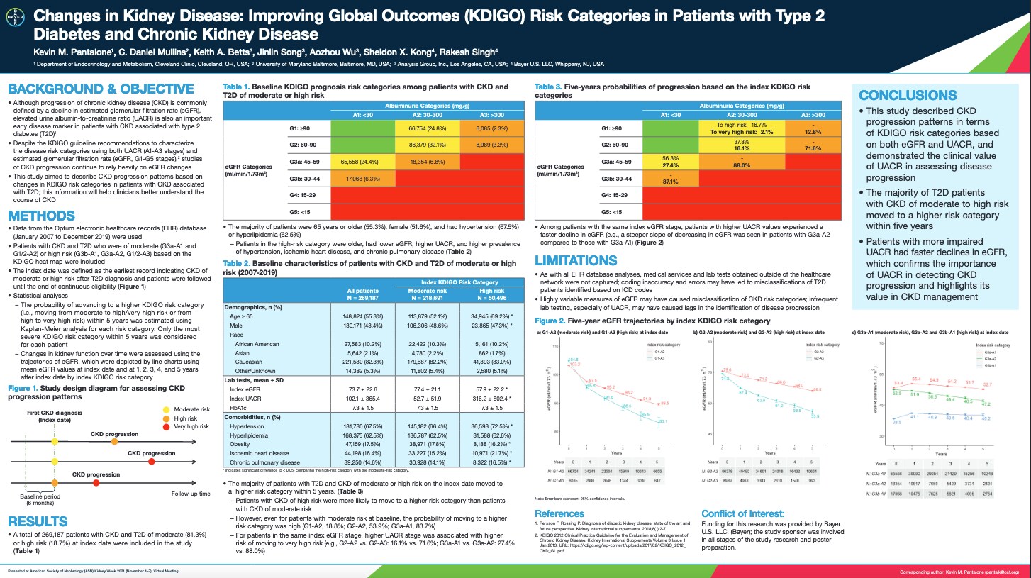 Changes in Kidney Disease: Improving Global Outcomes (KDIGO) Risk Categories in Patients with Type 2 Diabetes and Chronic Kidney Disease