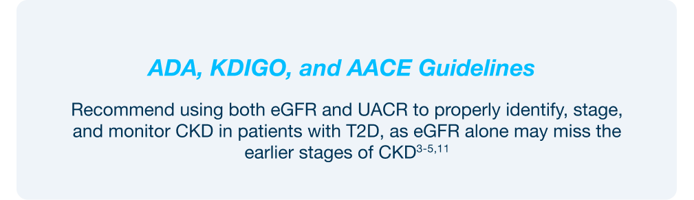 Guidelines from ADA, KDIGO, and AACE recommend use of both eGFR and UACR to identify, stage, and monitor chronic kidney disease in patients with type 2 diabetes