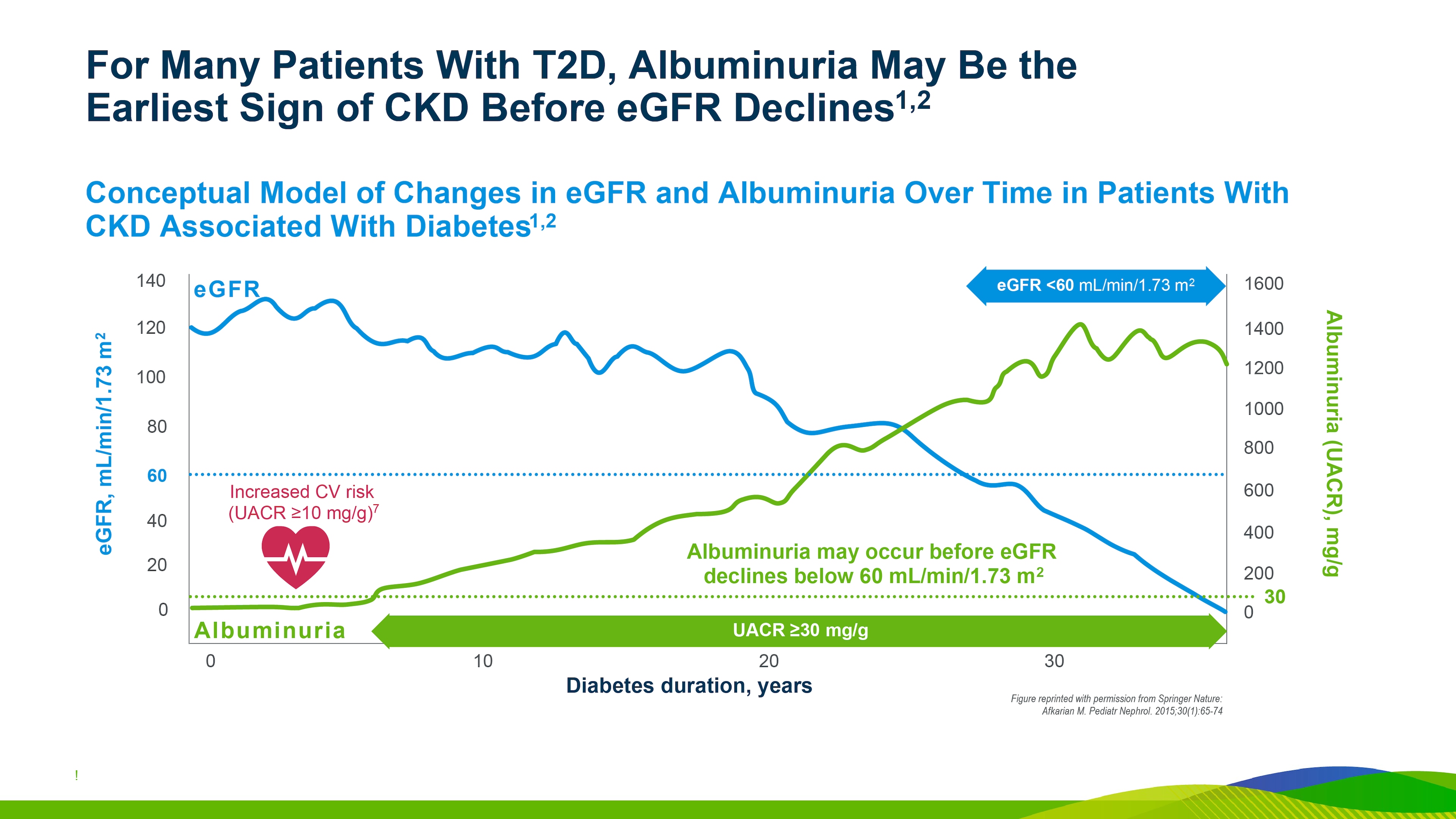 Graph showing conceptual model of albuminuria and eGFR changes over time in patients with type 2 diabetes highlighting that albuminuria may occur before eGFR declines